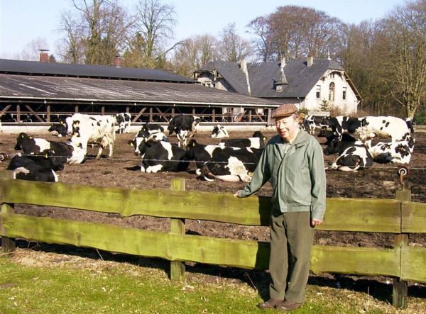 Georg Müller mit seinen Kühen